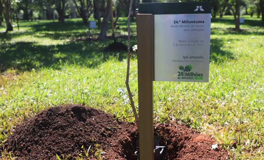 Em Foz do Iguaçu, governador acompanha plantio da 24ª milionésima árvore pela Itaipu Binacional