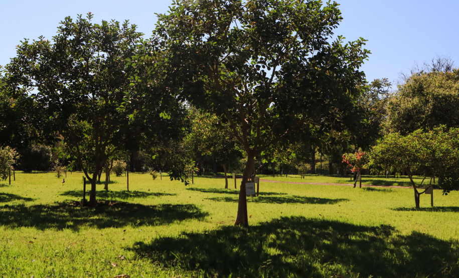 Em Foz do Iguaçu, governador acompanha plantio da 24ª milionésima árvore pela Itaipu Binacional