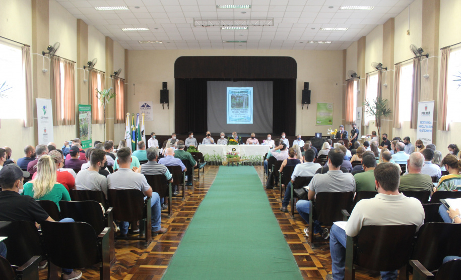 Investimento em novos mercados e produtos pode impulsionar erva-mate paranaense