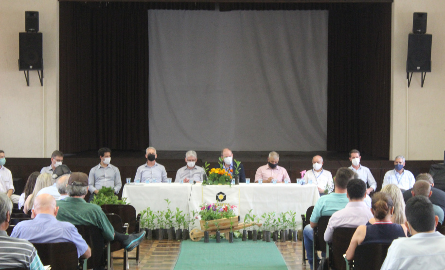 Investimento em novos mercados e produtos pode impulsionar erva-mate paranaense