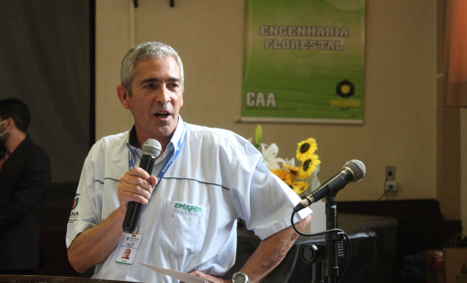 Investimento em novos mercados e produtos pode impulsionar erva-mate paranaense