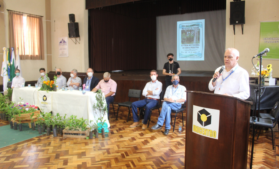 Investimento em novos mercados e produtos pode impulsionar erva-mate paranaense