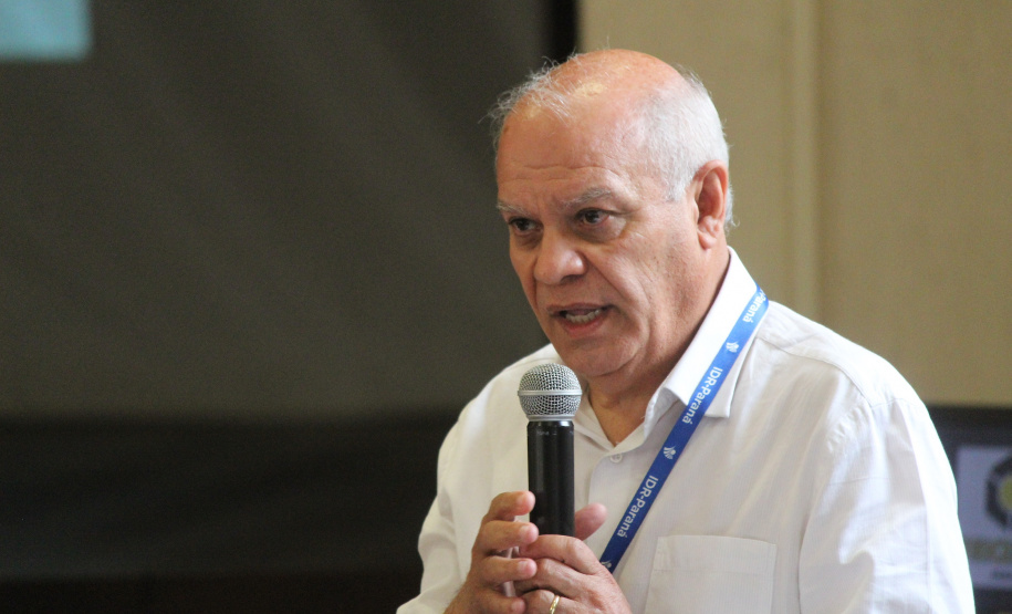 Investimento em novos mercados e produtos pode impulsionar erva-mate paranaense