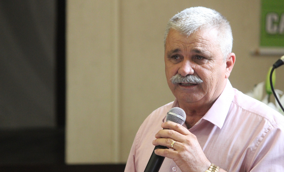 Investimento em novos mercados e produtos pode impulsionar erva-mate paranaense