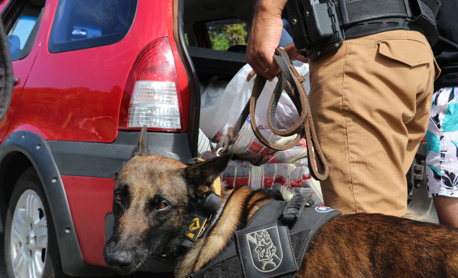 Polícia Militar Rodoviária flagra mais de 4 mil motoristas em excesso de velocidade