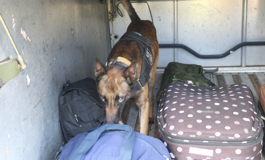 Polícia Militar Rodoviária flagra mais de 4 mil motoristas em excesso de velocidade