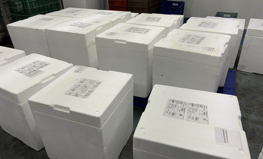 Estado recebe mais 136 mil vacinas contra a Covid-19