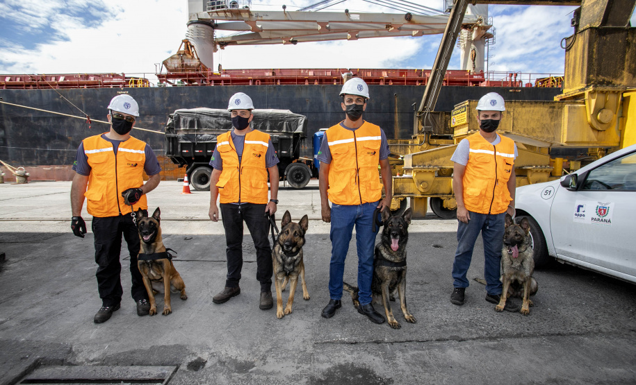Guarda Portuária do Paraná é pioneira na utilização de cães de faro