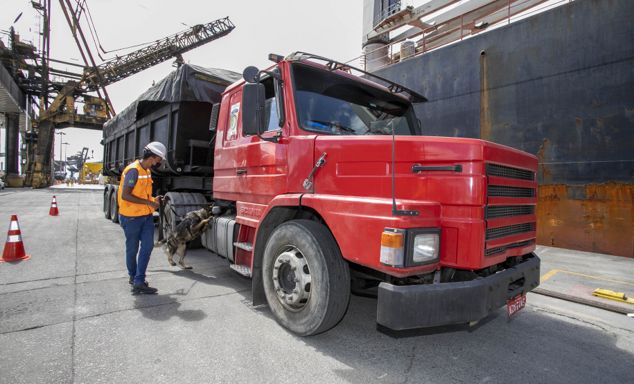 Guarda Portuária do Paraná é pioneira na utilização de cães de faro