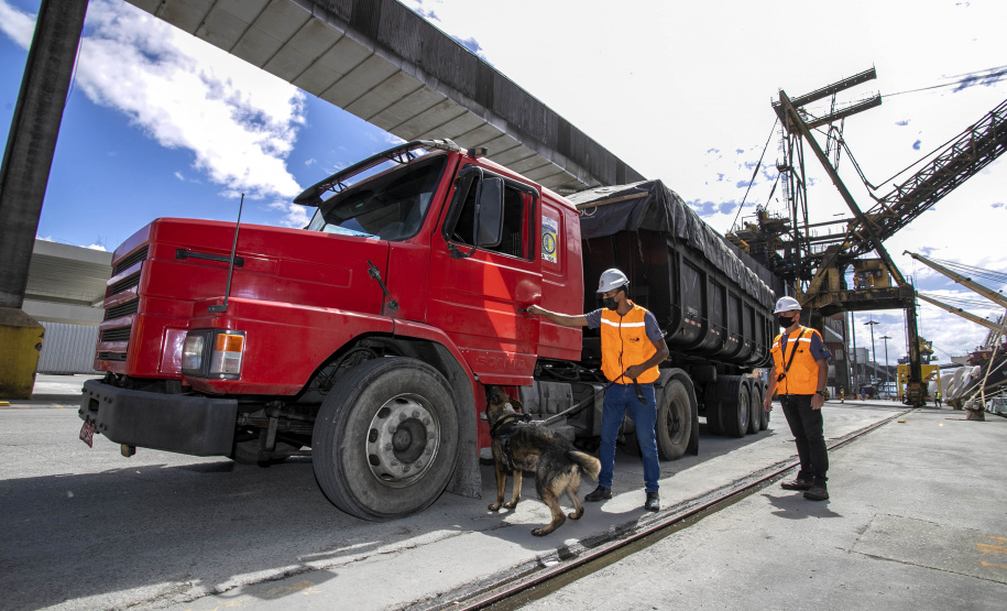 Guarda Portuária do Paraná é pioneira na utilização de cães de faro