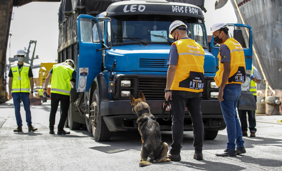 Guarda Portuária do Paraná é pioneira na utilização de cães de faro