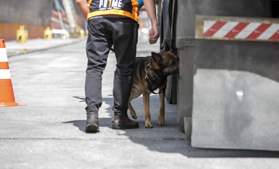 Guarda Portuária do Paraná é pioneira na utilização de cães de faro