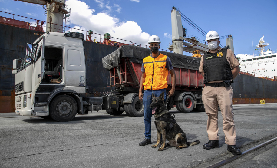 Guarda Portuária do Paraná é pioneira na utilização de cães de faro