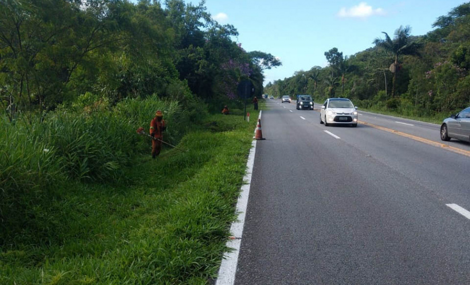 Serviços iniciais conservação do anel de integração
