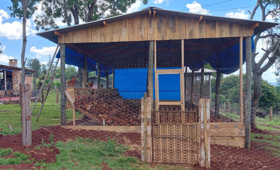 Ovo caipira agroecológico se torna alternativa de produção e diversificação de renda