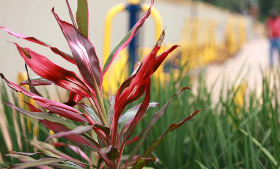 Maringá ganha novos espaços de proteção ao meio ambiente e à fauna silvestre - Maringá, 16/12/2021