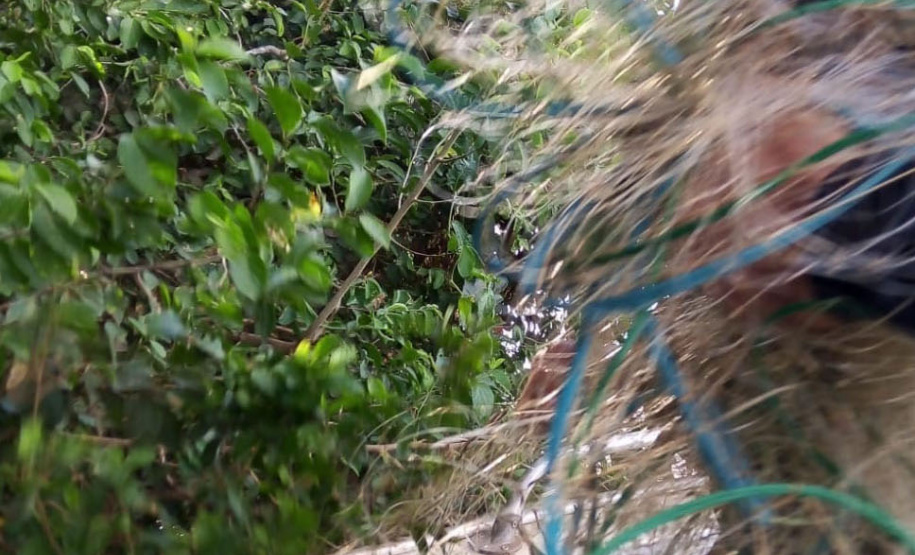 Em quatro dias de fiscalização intensa, IAT não registra autuações da Piracema