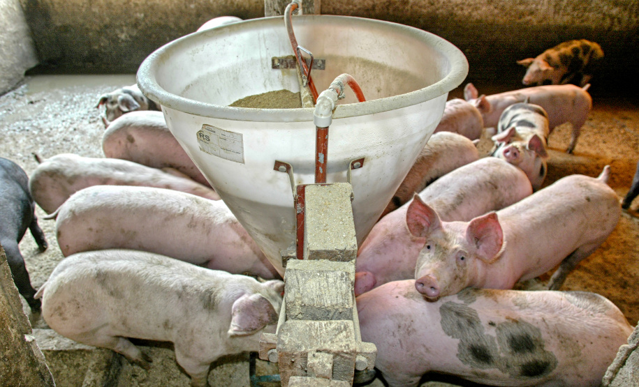 Licenças ambientais a novos empreendimentos têm reflexos na geração de emprego