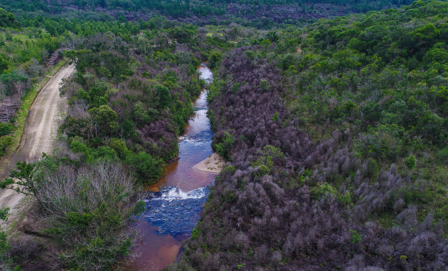 Inscrições para passeio ciclístico no Parque Estadual do Cerrado vão até quinta-feira