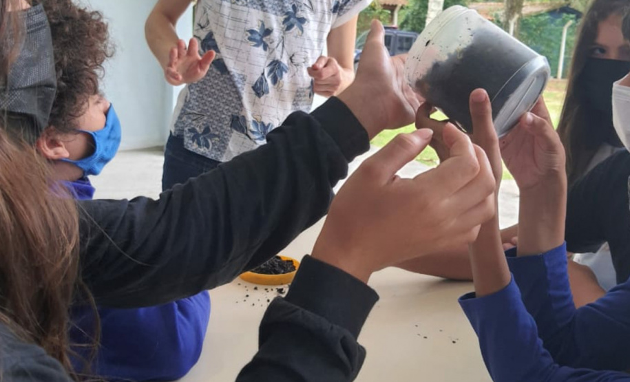 Portos do Paraná apresenta projeto de implantação de composteira a professores na Ilha do Mel