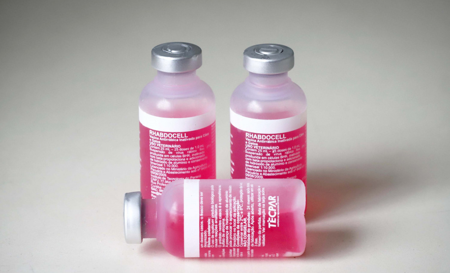 Com foco em saúde púbica e apoio aos municípios, Tecpar diversifica ações em 2021