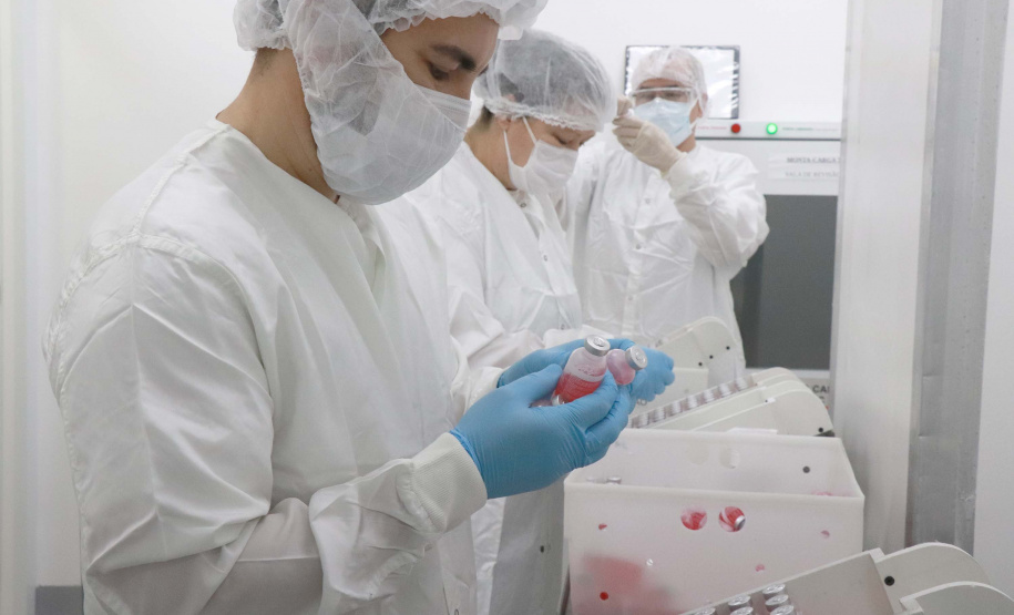 Revisões  Tecpar conclui entrega da vacina antirrábica animal de 2021 ao Ministério da Saúde