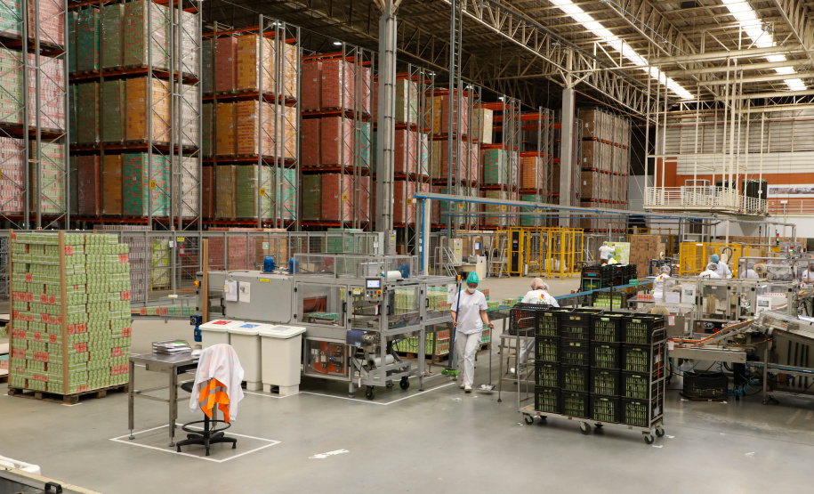 Vice Governador Darci Piana  Visita Fabrica de Chá Leão em Fazenda Rio Grande.