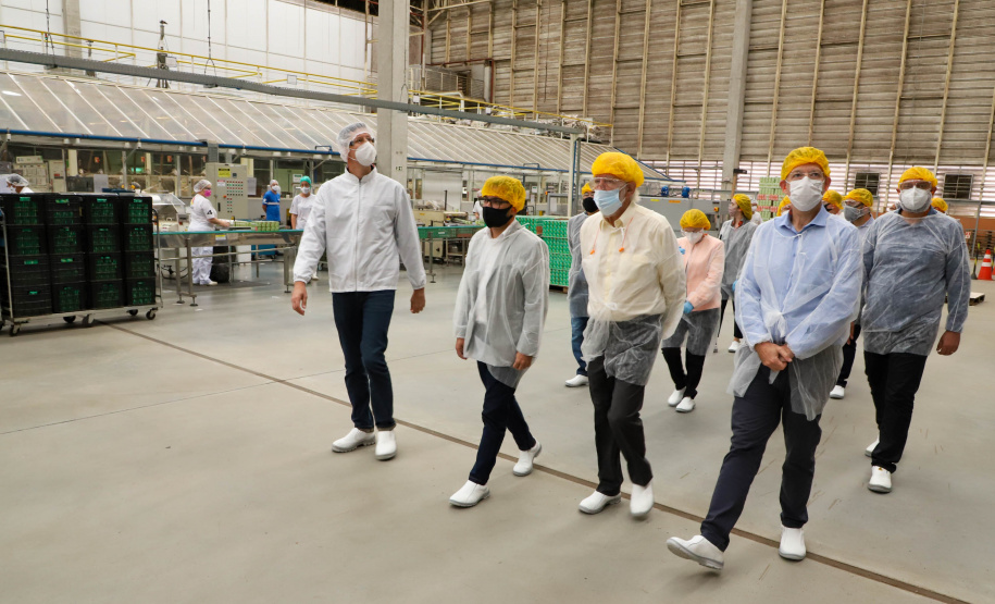 Vice Governador Darci Piana  Visita Fabrica de Chá Leão em Fazenda Rio Grande.