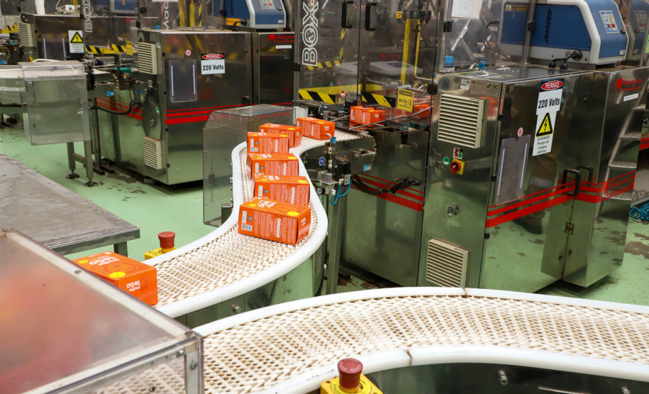 Vice Governador Darci Piana  Visita Fabrica de Chá Leão em Fazenda Rio Grande.