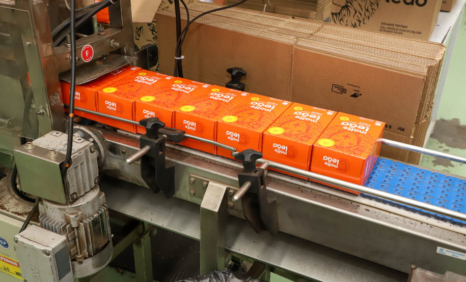 Vice Governador Darci Piana  Visita Fabrica de Chá Leão em Fazenda Rio Grande.