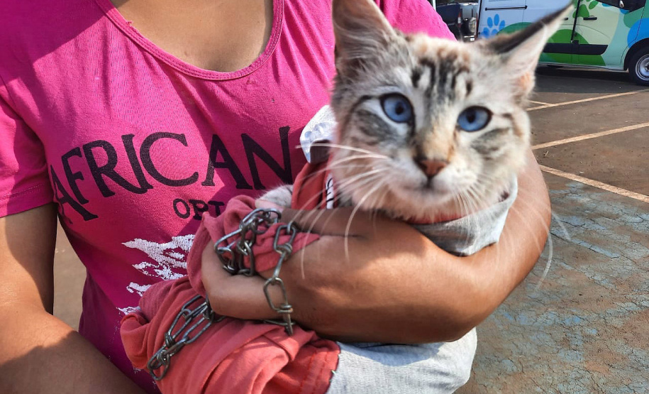 CastraPet Paraná fecha 2021 passando por 5 cidades em dezembro