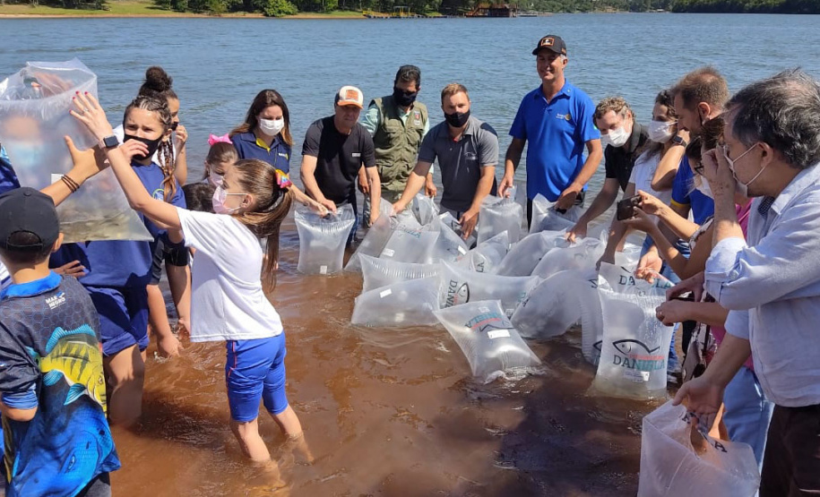 Rio Mourão recebe 300 mil novos peixes nativos