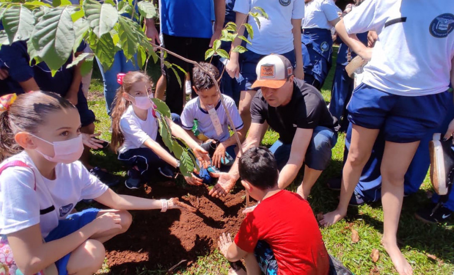 Rio Mourão recebe 300 mil novos peixes nativos