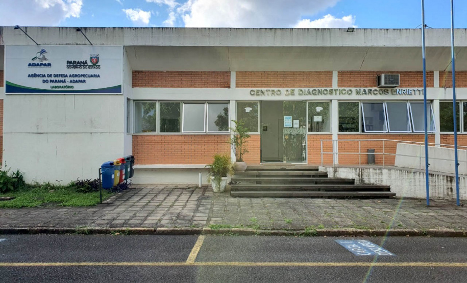 Laboratório do Estado é pioneiro no uso de técnica molecular para diagnóstico de raiva em herbívoros