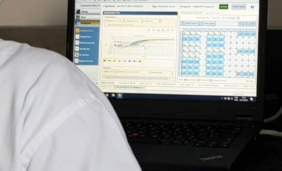 Laboratório do Estado é pioneiro no uso de técnica molecular para diagnóstico de raiva em herbívoros