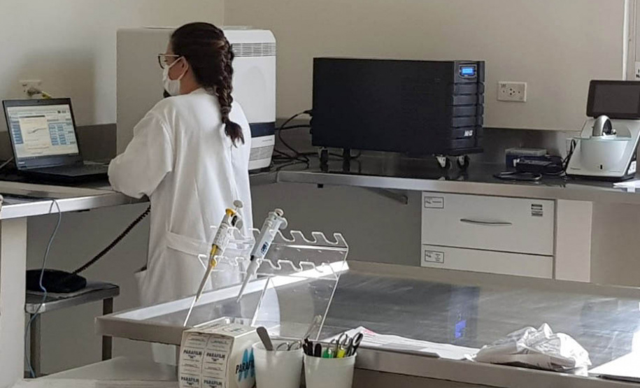 Laboratório do Estado é pioneiro no uso de técnica molecular para diagnóstico de raiva em herbívoros