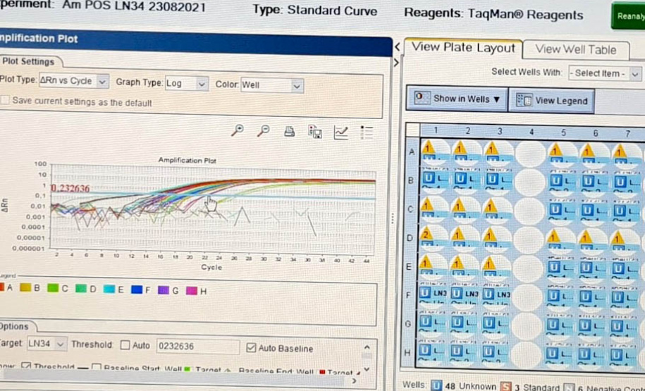 Laboratório do Estado é pioneiro no uso de técnica molecular para diagnóstico de raiva em herbívoros