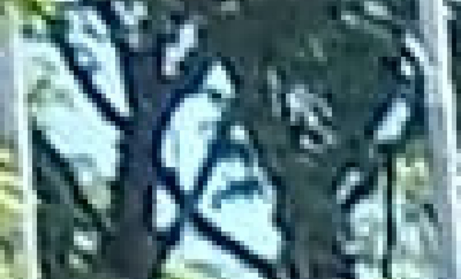 PM lança Operação Natal em todo o Estado e reforça policiamento na Capital com 120 profissionais