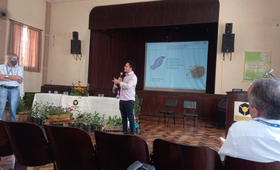 Investimento em novos mercados e produtos pode impulsionar erva-mate paranaense