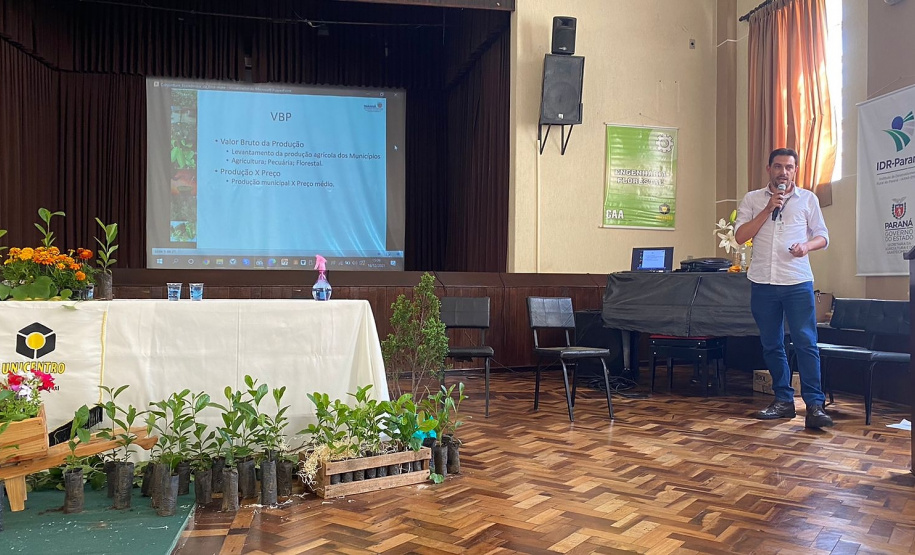 Investimento em novos mercados e produtos pode impulsionar erva-mate paranaense