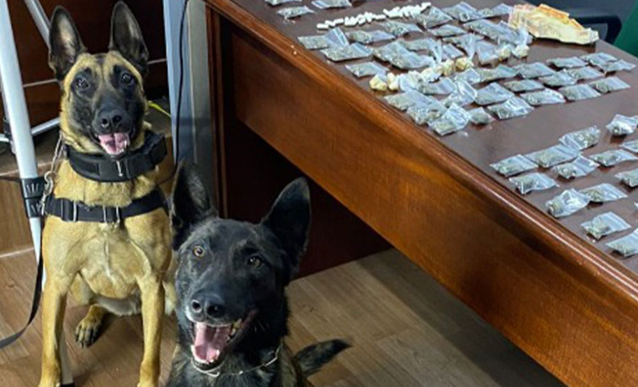 Operações de inteligência e planejamento são destaques da Polícia Militar em 2021