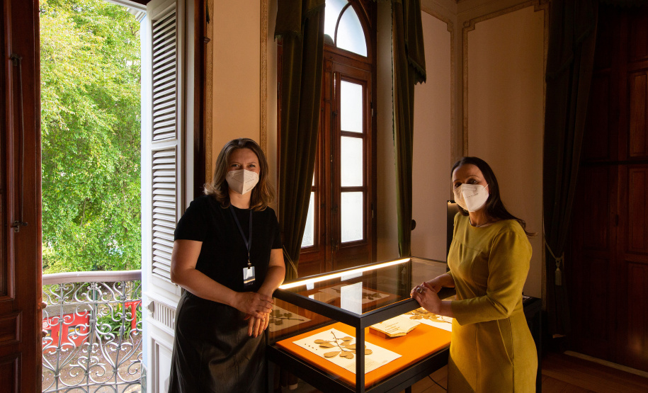 Legado da erva-mate inspira projeto e parcerias entre museus