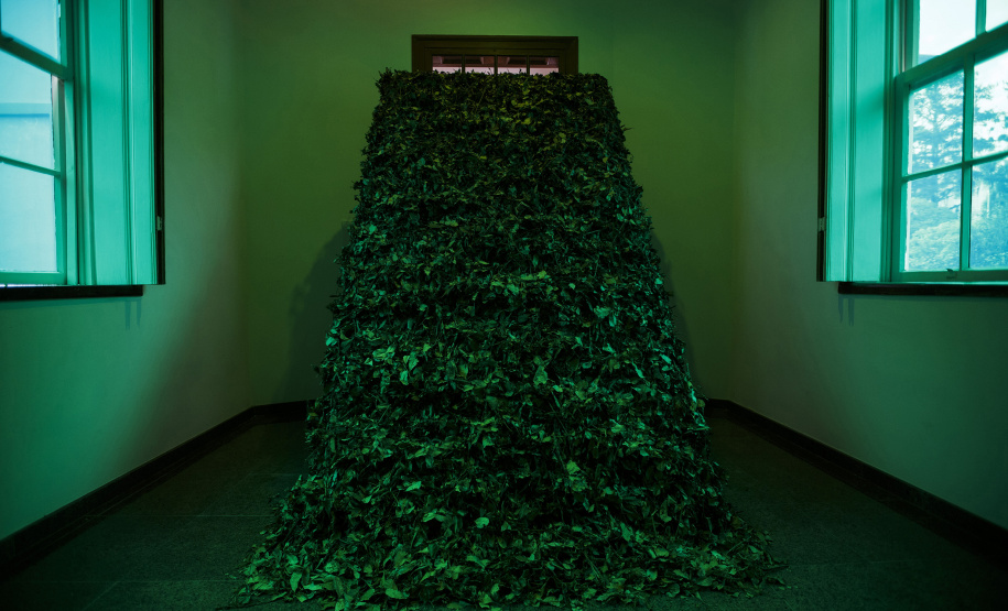 Legado da erva-mate inspira projeto e parcerias entre museus