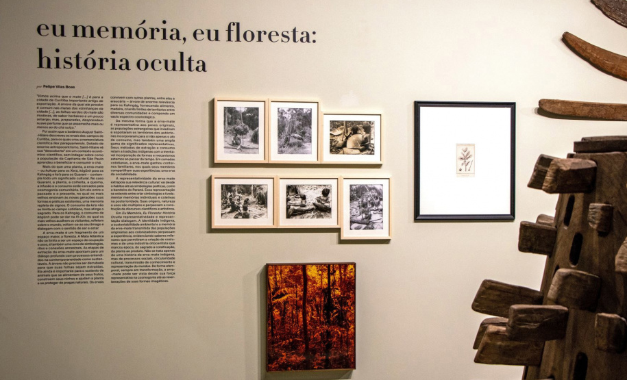 Legado da erva-mate inspira projeto e parcerias entre museus