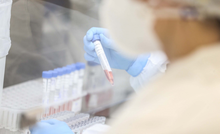 Paraná registra 262 casos de Influenza H3N2; transmissão da doença é considerada comunitária