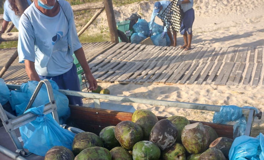 Sanepar coleta 600 kg de coco verde por dia nas praias de Pontal do Paraná