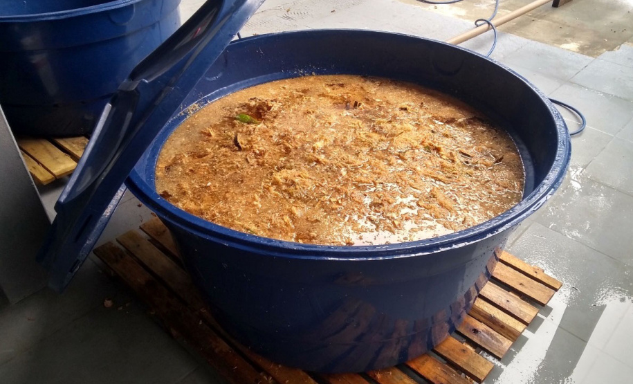 Sanepar coleta 600 kg de coco verde por dia nas praias de Pontal do Paraná
