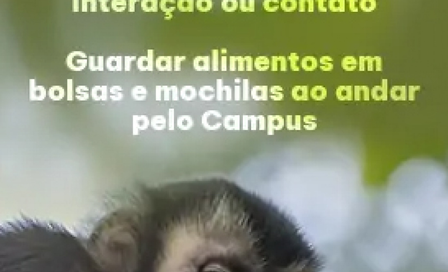 Projeto do CCB orienta comunidade sobre o convívio com os macacos-pregos do Campus
