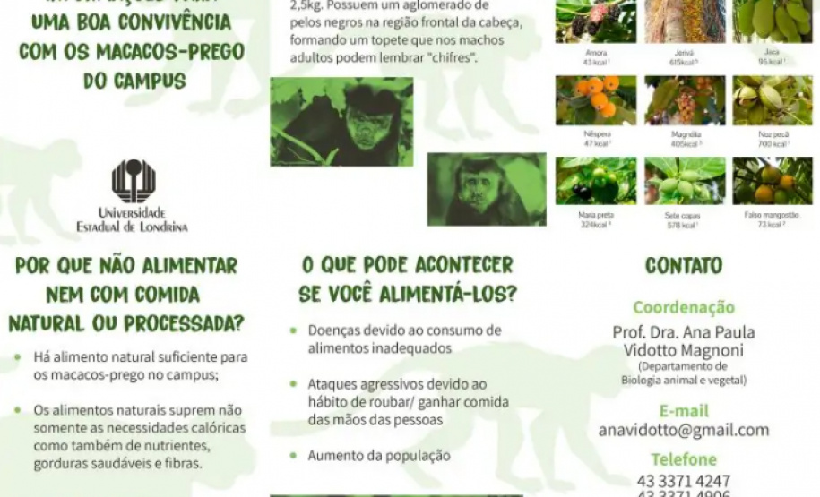 Projeto do CCB orienta comunidade sobre o convívio com os macacos-pregos do Campus