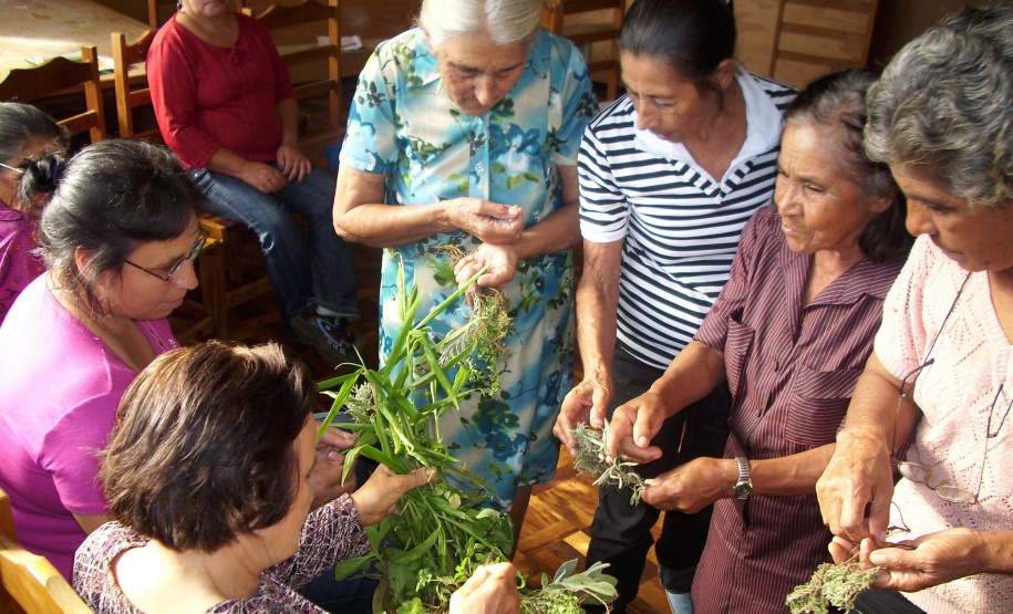 Benzedeiras compartilham saberes tradicionais em oficina e roda de conversa no Museu Paranaense